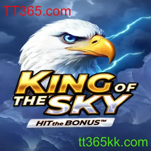 Descubra as Emoções do KingOfTheSky: Um Jogo de Estratégia de Alta Altitude